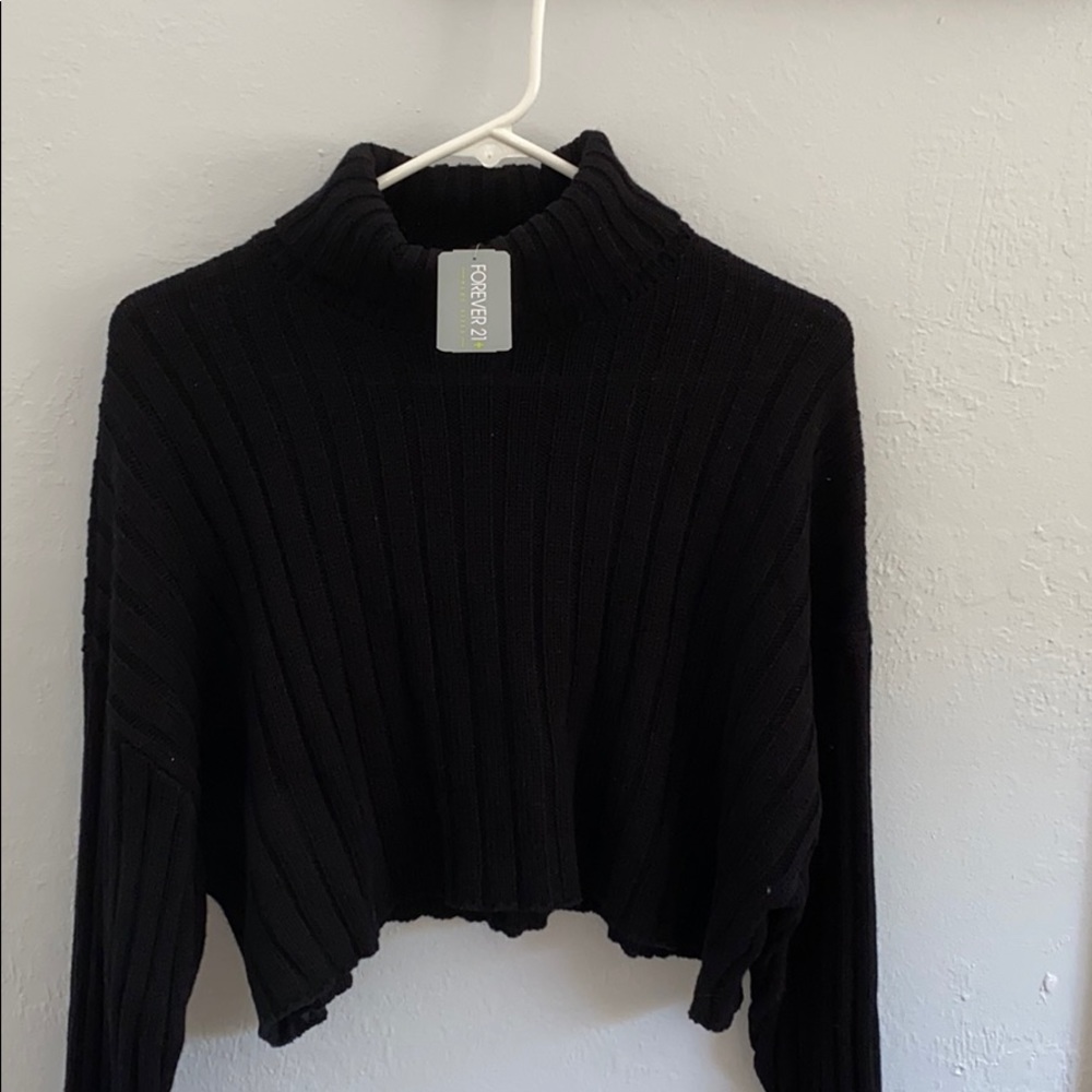 cropped turtle neck